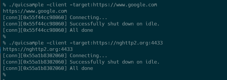 msquicのサンプルコードでwww.google.comへのリクエストが成功し、nghttp2.org:4433へのリクエストが失敗する様子