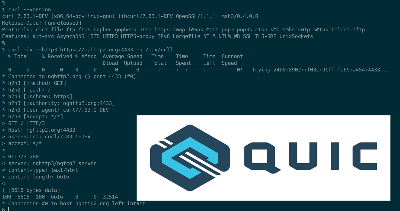 msh3によるcurlでのnghttp2.org:4433へのリクエストが成功する様子